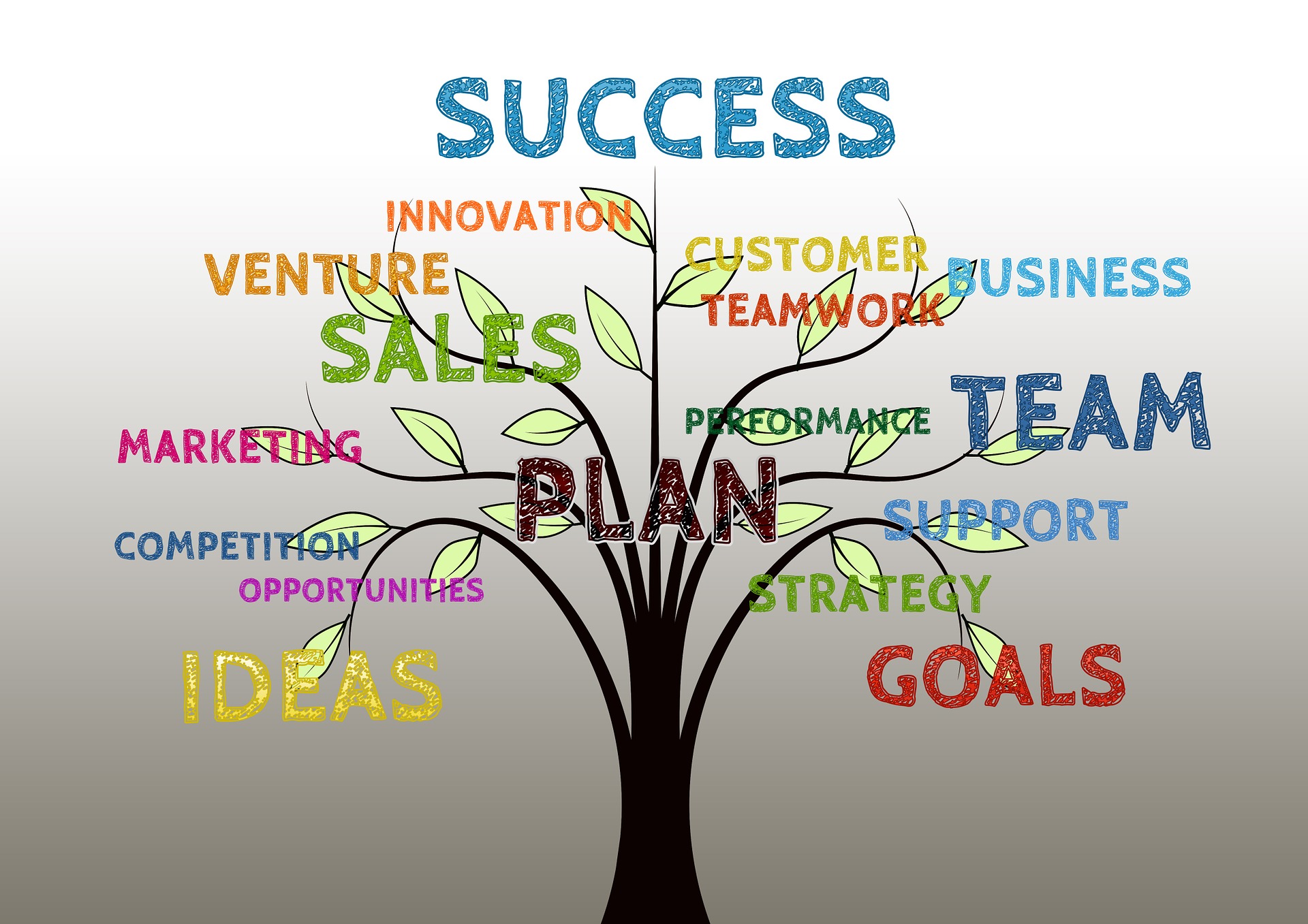 Business plan de campagne cursus workshop